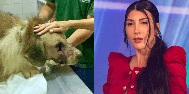 Hande Yener şovunu yaptı köpeği attı