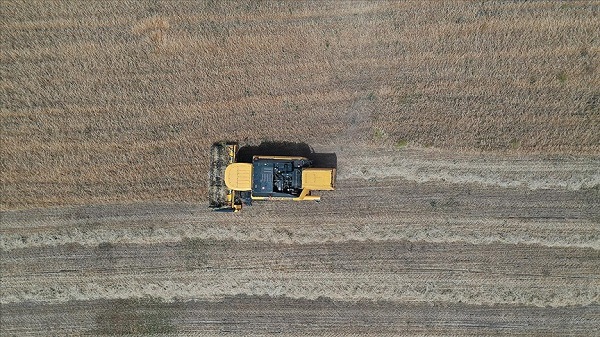 Hangi sınavlar ertelendi? Bitki Koruma Ürünleri Bayi ve Toptancılık Sınavı 2022 ne zaman yapılacak?