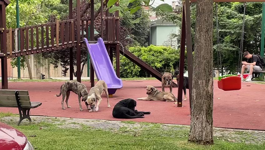 Hanginiz yavrunuzu buraya bırakabilirsiniz? Çocuk parkında ürküten görüntü!