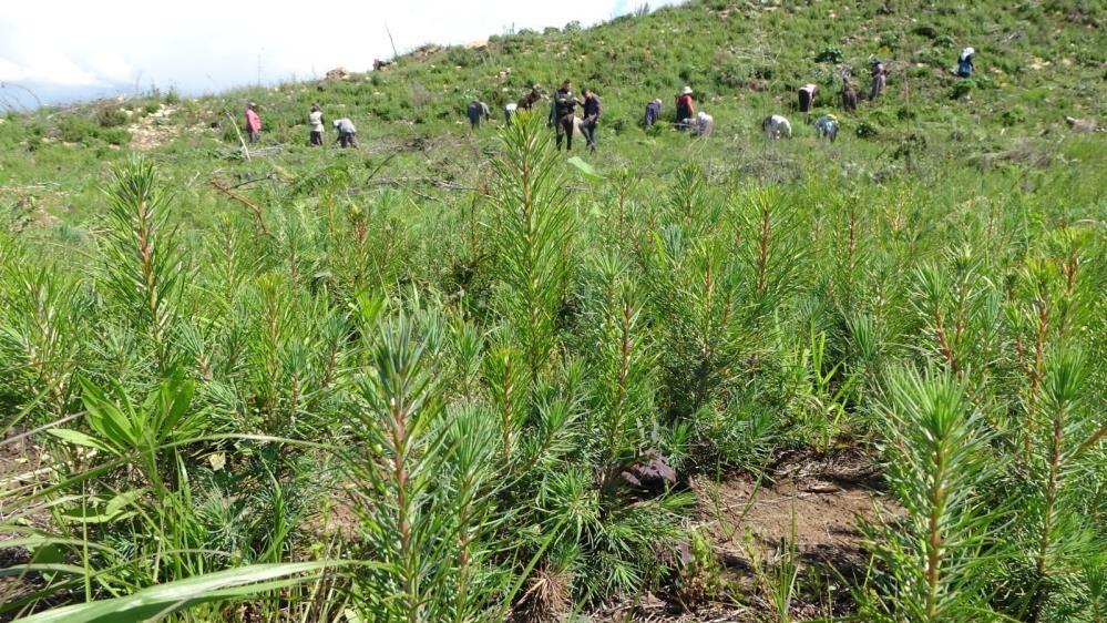 Hani inşaatlar başlayacaktı! ‘Sözde çevreciler’ bakıp bakın utansın