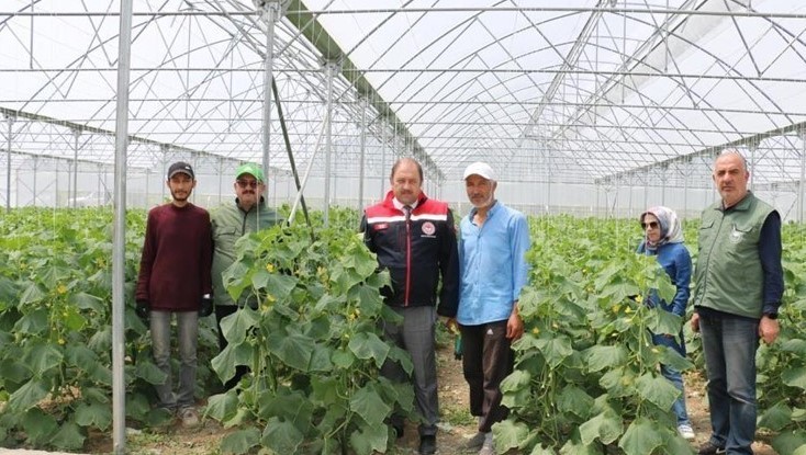 Hani tarım bitmişti! Tarım Bakanlığı hibeleriyle müthiş başarı