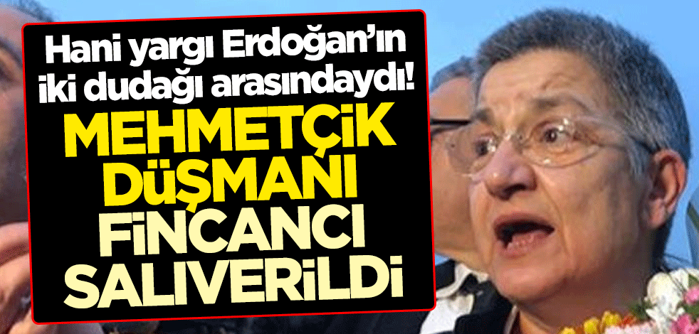 Hani yargı Erdoğan’ın iki dudağı arasındaydı! Mehmetçik düşmanı Fincancı salıverildi