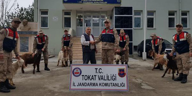 Hapis yattığı cezaevinin telefonundan dolandırıcılık yaptı