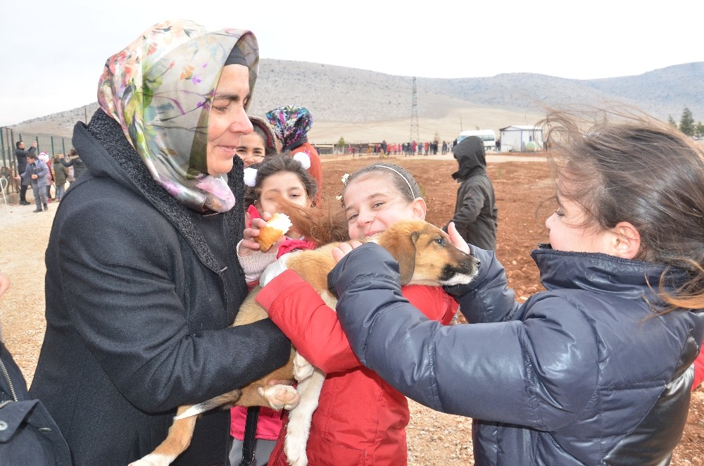 Harçlıklarıyla sokak hayvanlarına 2,5 ton sakatat aldılar 