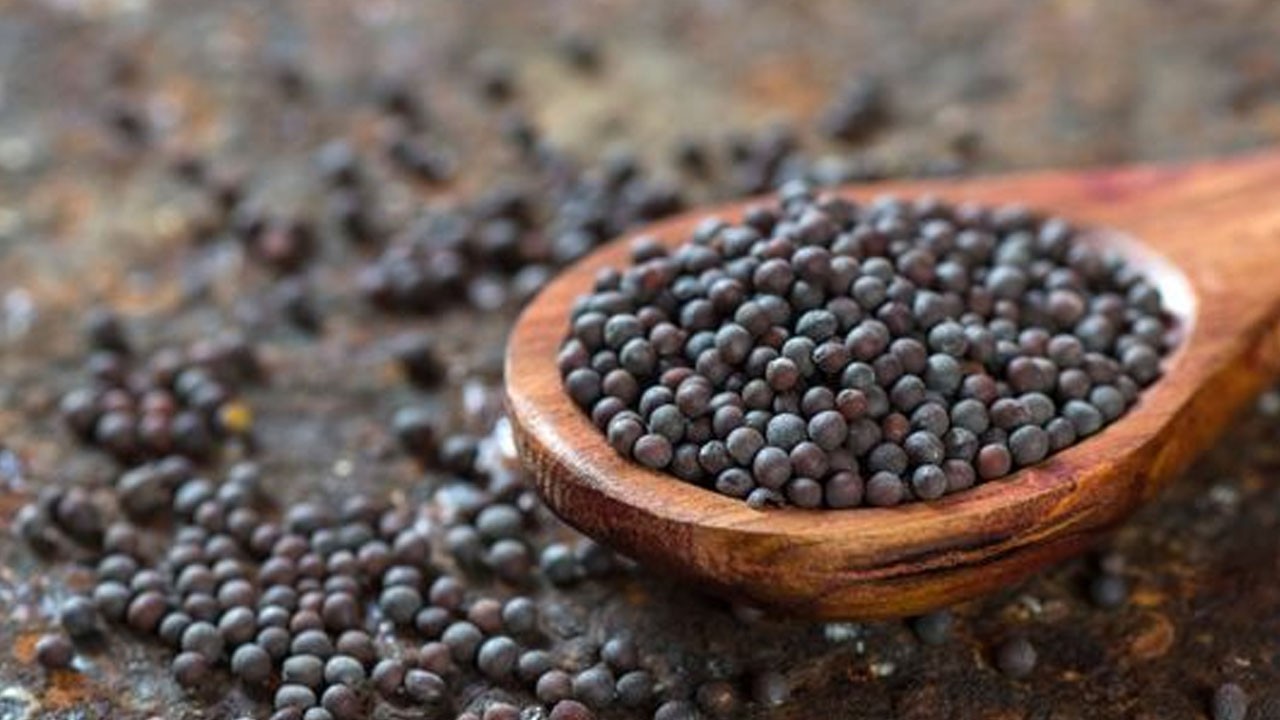 Hardal tohumu: Sevdikleriniz için en iyi kalite!