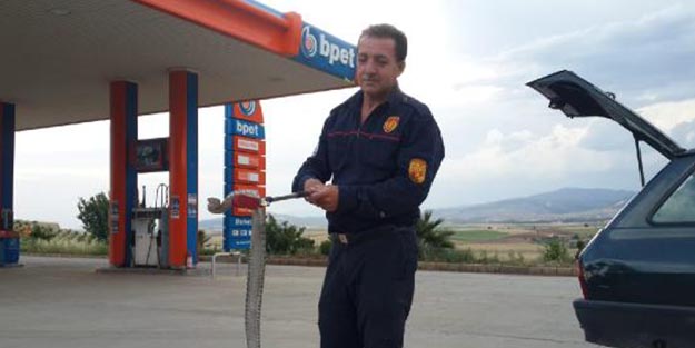 Hareket halindeki otomobilde yılan paniği
