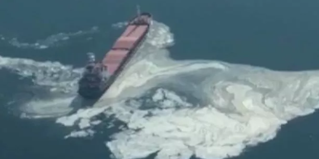 Harekete geçildi... Marmara Denizi ile ilgili korkunç iddia!