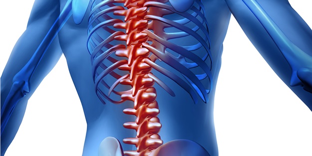 Hareketsiz yaşam bel fıtığını tetikliyor