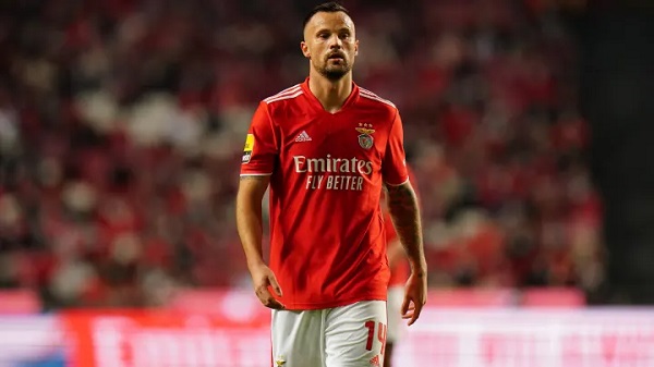 Haris Seferoviç kimdir kaç yaşında? Haris Seferoviç kariyeri: