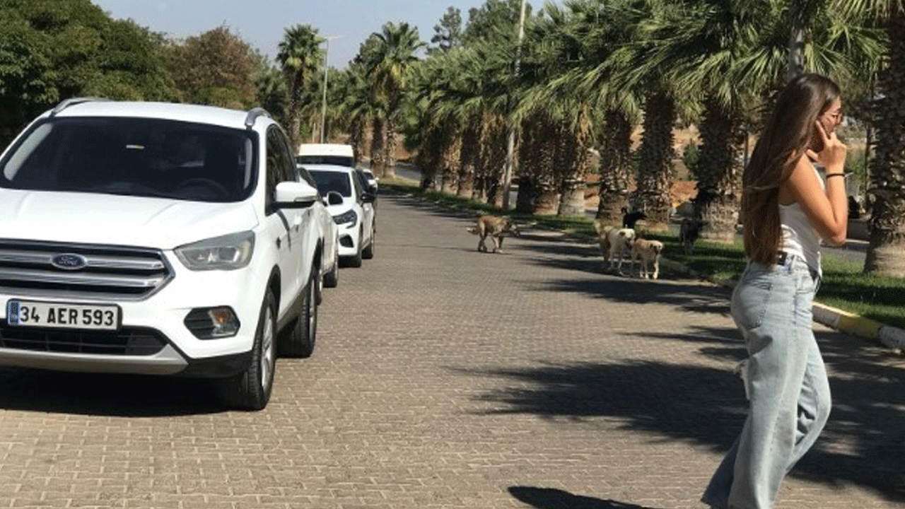 Harran Üniversitesi kuşatma altında: Öğrenciler canından bezdi!