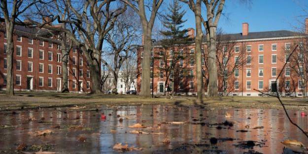 Harvard mezunu 3 kadın okullarına 'taciz' davası açtı