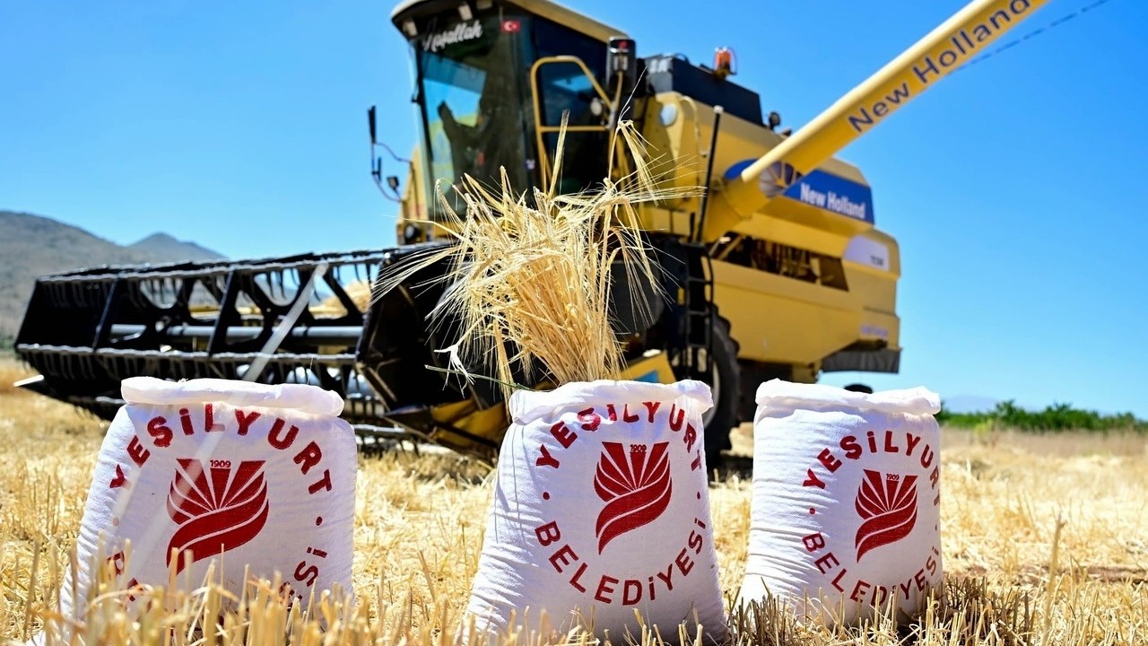 Hasadı yapılan arpalar, çiftçilere ücretsiz dağıtılacak!