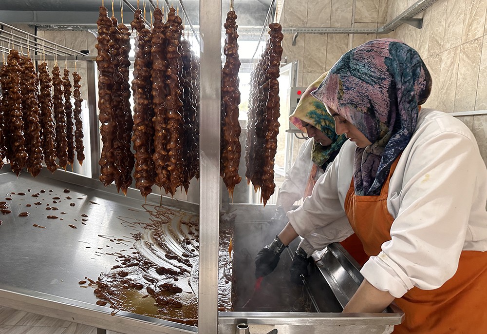 Hasat başladı! Bu ceviz pestil ve köme yapımında kullanılıyor