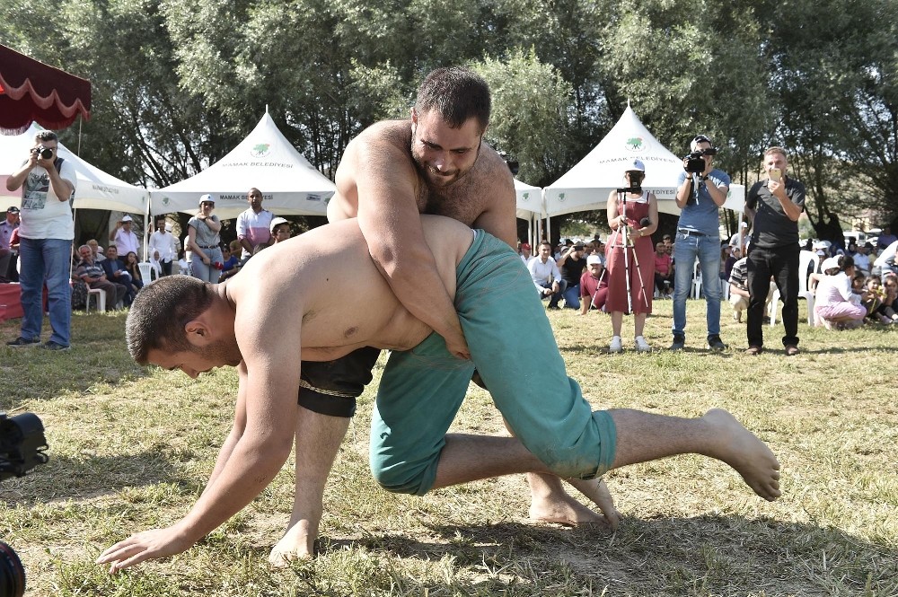 Hasat festivalinde renkli görüntüler 