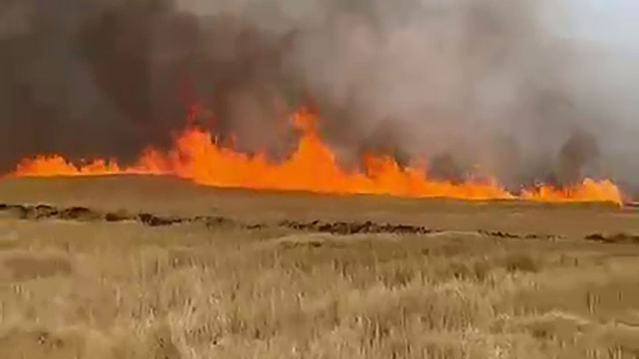 Hasat öncesi büyük üzüntü! Sivas’ta 5 bin dönüm ekili buğday tarlası kül oldu