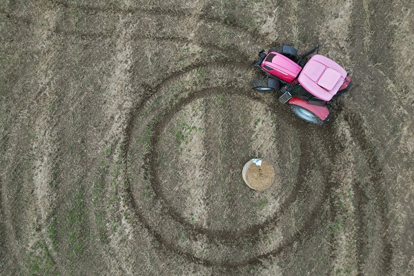 Hasat sezonunun sonunda traktörler yarıştı