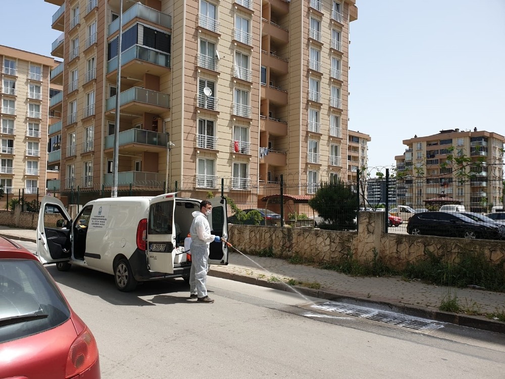Haşere ve kemirgenle Yıldırım mücadele 