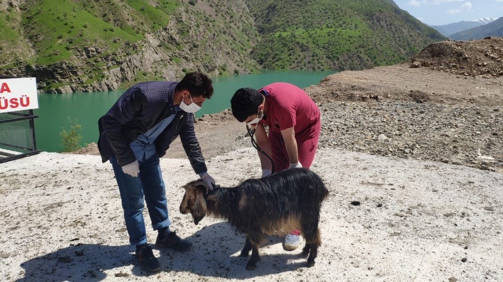 Hasta hayvanlara ulaşmak için heyelanın kapattığı yolu yaya olarak geçtiler 