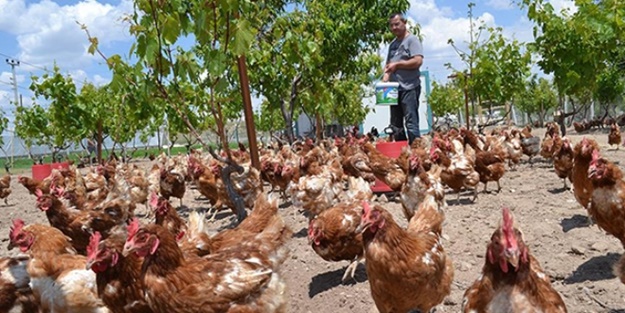 Hastalardan etkilenip başladı, talebe yetişemiyor