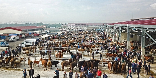 Hastalık alarmı! Hayvan pazarı ikinci bir emre kadar kapatıldı