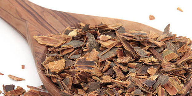 Barut ağacı kabuğu: Doğal iyileştirici!