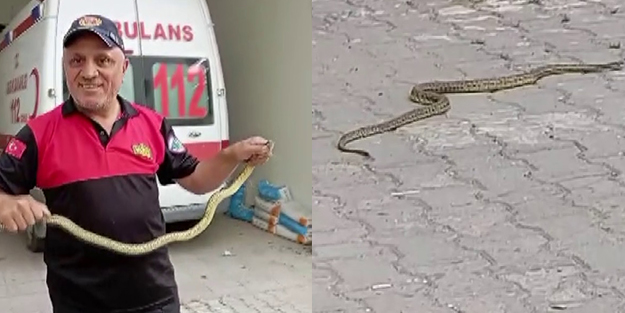 Hastane morgu önünde yılan paniği