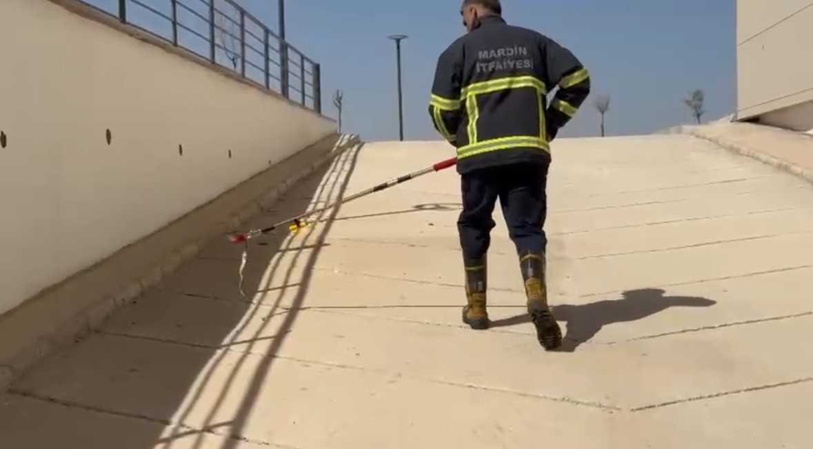 Hastanede yılan paniği