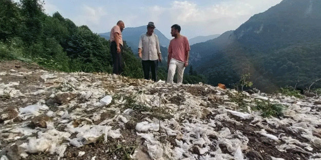 Hastaneden alıp ormana döktüler! Ekipler harekete geçti