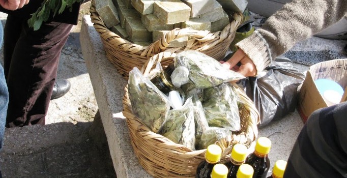 Hatay dünyaya defne yaprağı satıyor