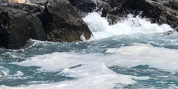 Hatay sahilinde görülen sıvı hakkında açıklama