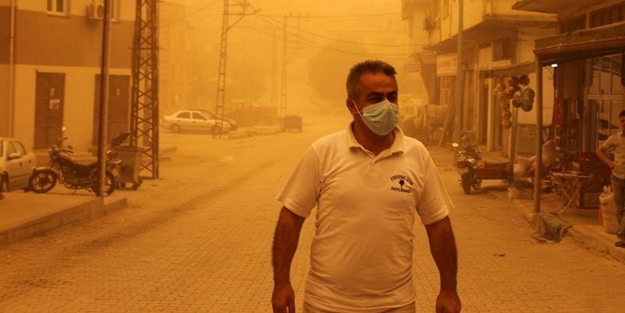 Hatay sarıya büründü - FOTO