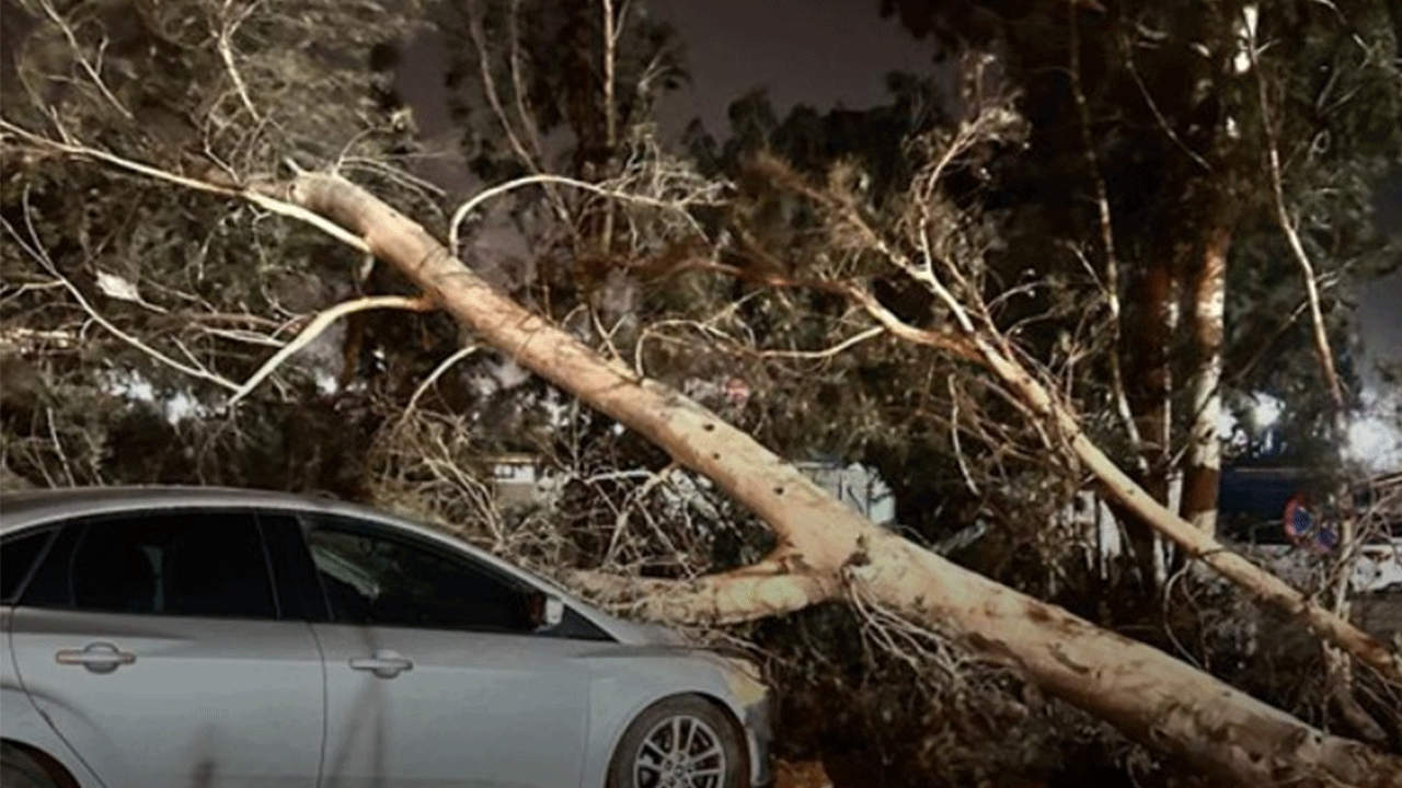 Hatay'da ağaçlar yola devrildi, konteynerler sürüklendi!