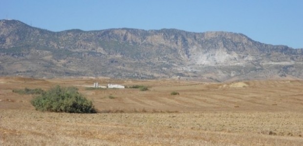 Hatay'da boş arazide bebek cesedi bulundu