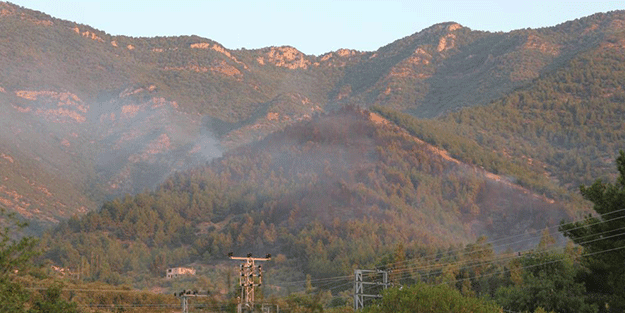 Hatay'da çıkan orman yangınına sabah saatlerinde de müdahale devam ediyor