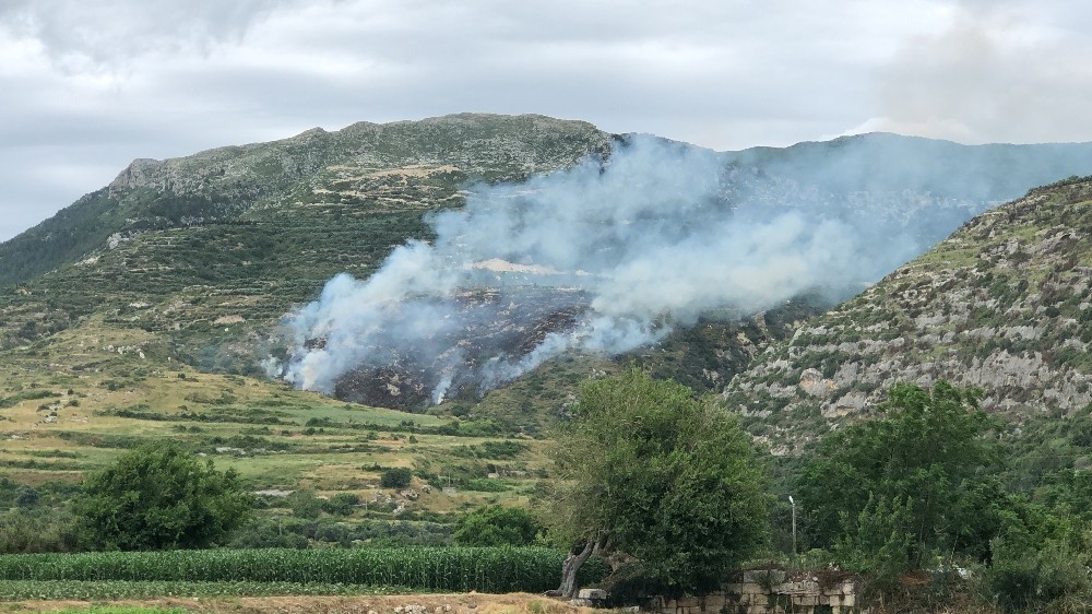 Hatay’da çıkan örtü yangını korkuttu 