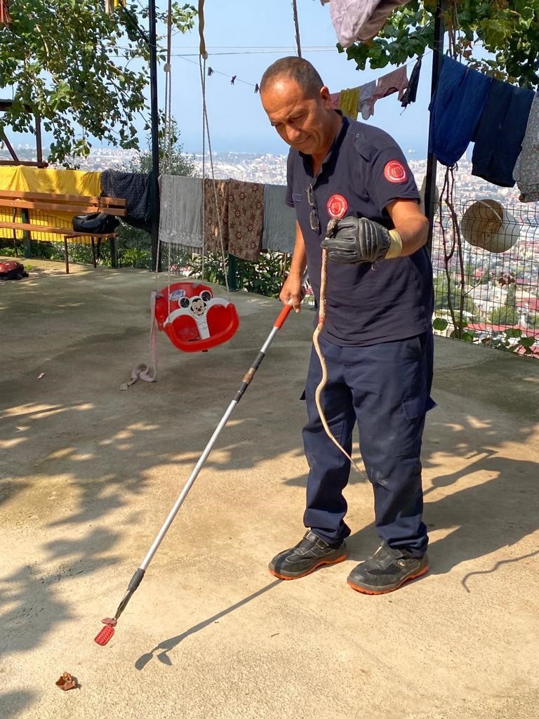 Hatay'da eve giren şeye şok olacaksınız! İtfaiye ekipleri çağrıldı!