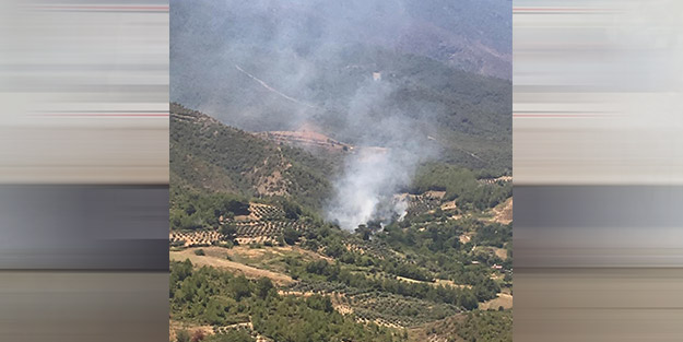 Hatay’da feci orman yangını!