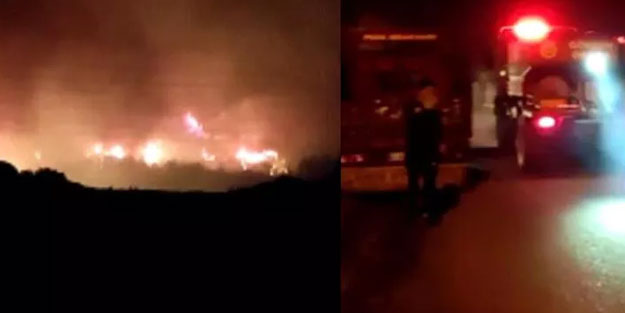 Hatay’da gece yarısı orman yangını başladı