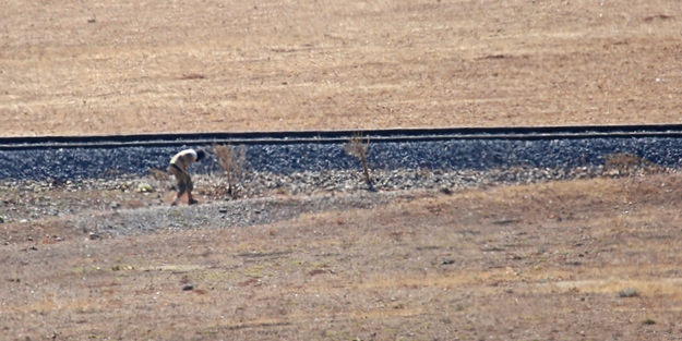 Hatay'da askere ateş açıldı!