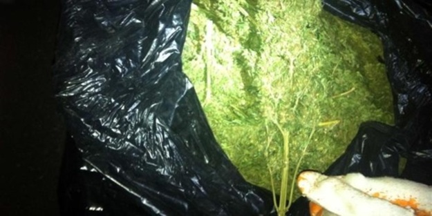 Hatay'da Hint keneviri operasyonu