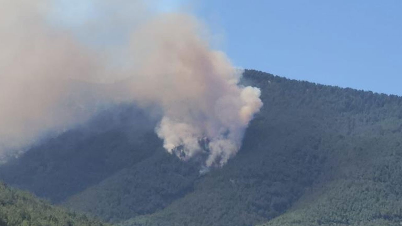 Hatay’da korkudan orman yangını