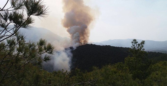 Hatay'da korkutan orman yangını
