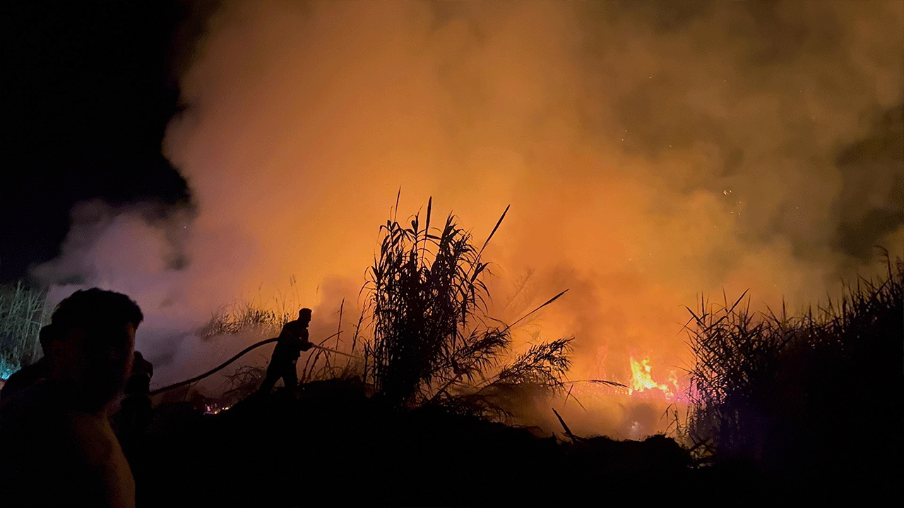 Hatay'da korkutan sazlık yangını! itfaiye ekipleri alevleri zamanında bastırdı