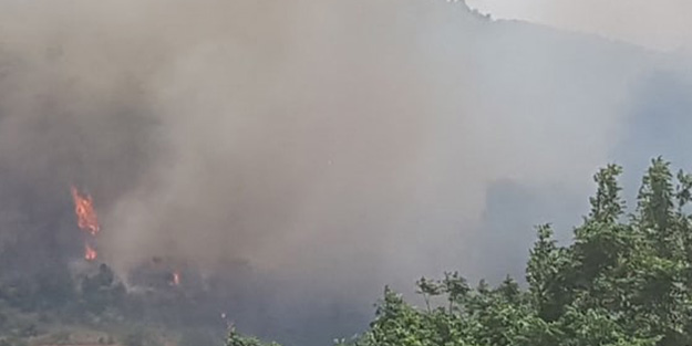 Hatay'da korkutan yangın! Müdahale başladı