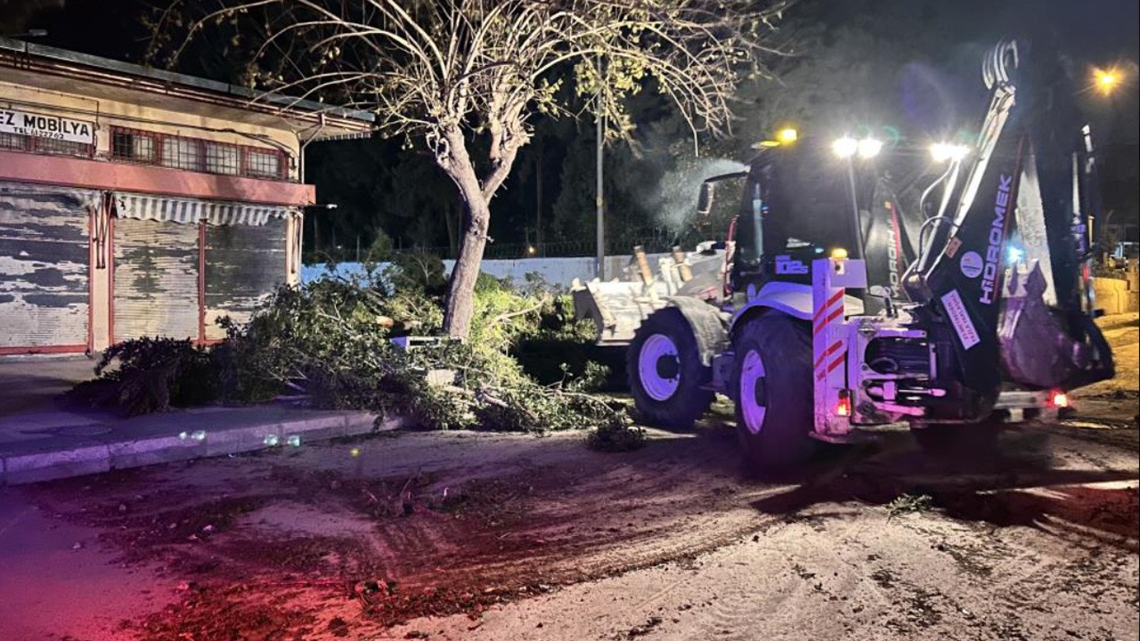 Hatay'da kuvvetli fırtına ağaçları yerinden söktü
