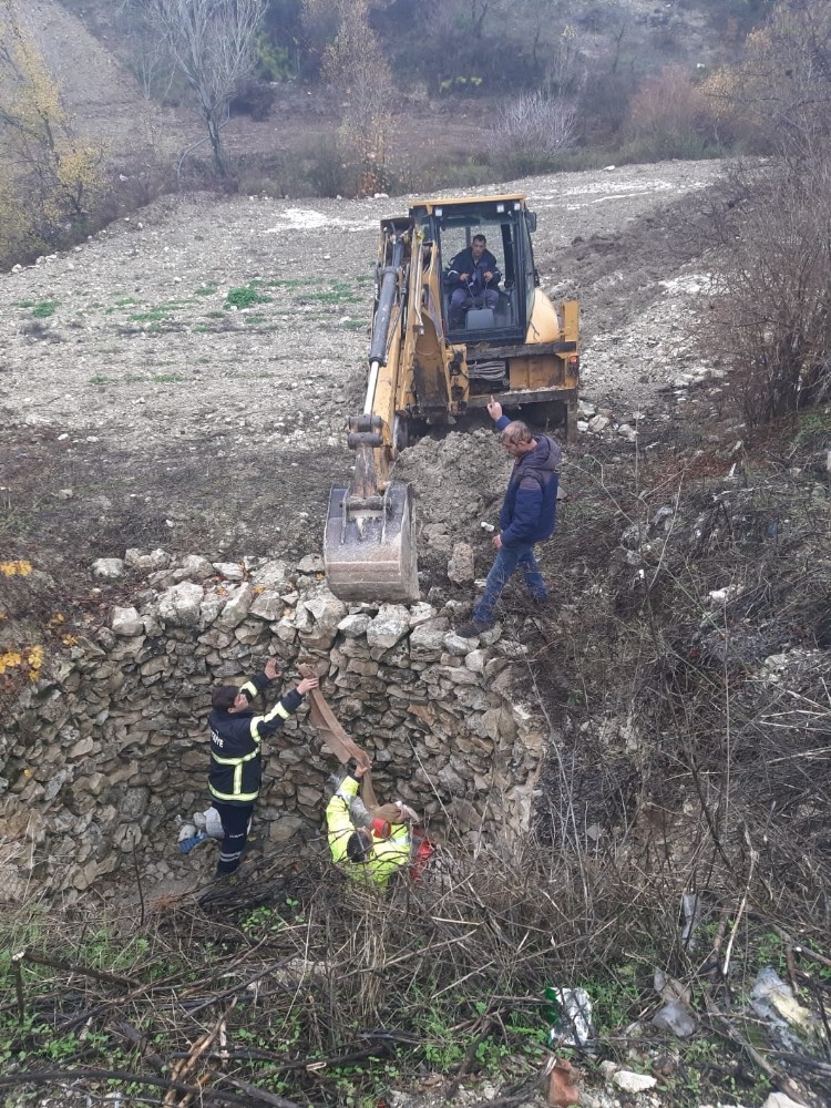 Hatay’da kuyuya düşen eşeği itfaiye ekipleri kurtardı 