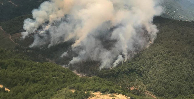 Hatay'da orman yangın: Havadan karadan müdahale ediliyor