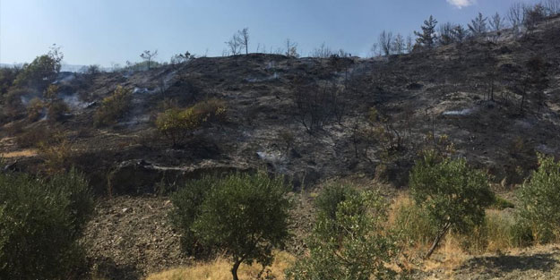 Hatay'da orman yangını! 2 hektar alan zarar gördü