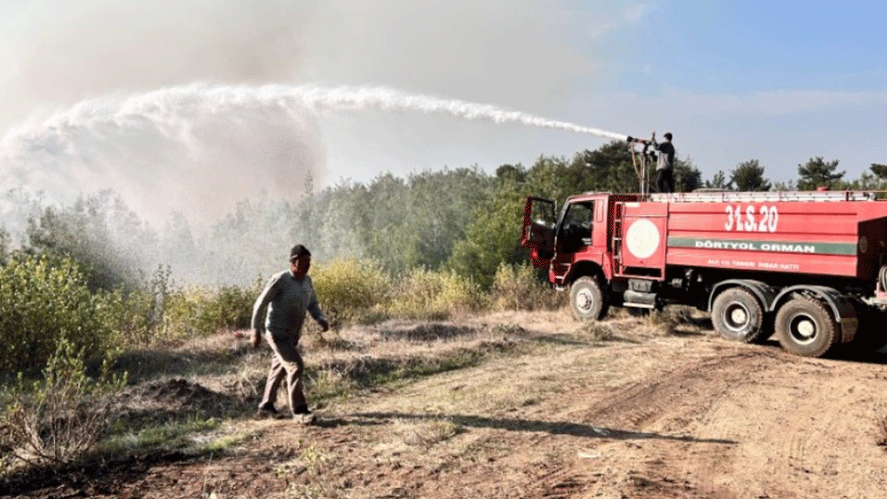 Hatay'da orman yangını! 95 hektar alan kül oldu!
