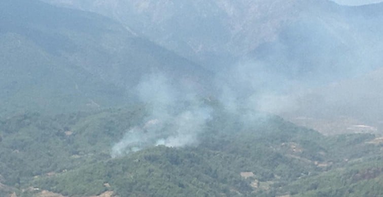 Hatay'da orman yangını büyümeden söndürüldü